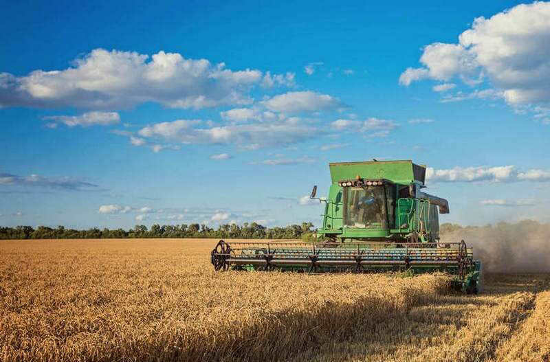 Combine Harvester in Field